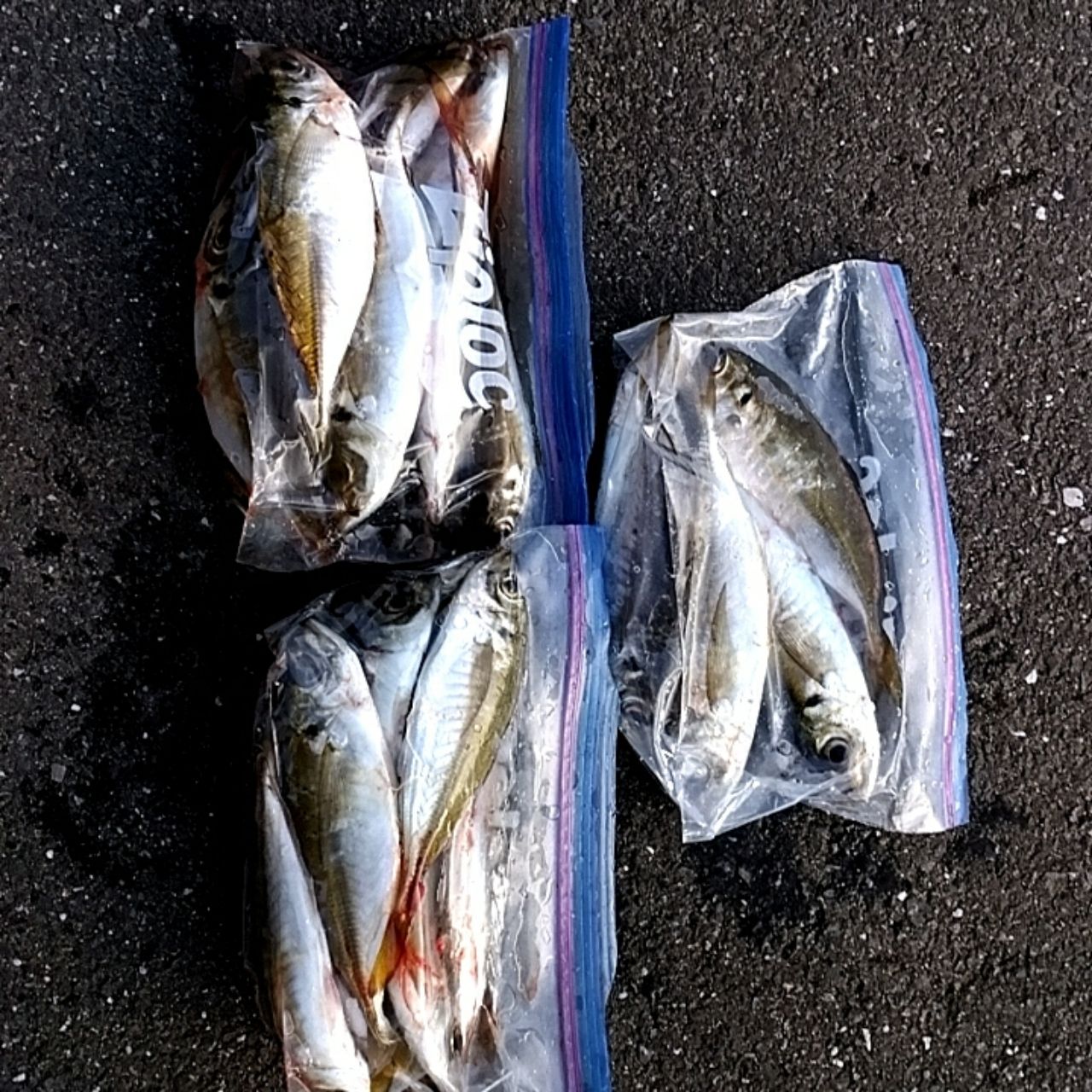アジ