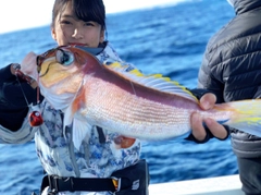 アマダイの釣果