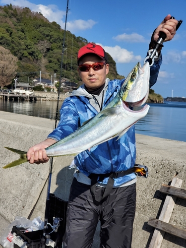 ブリの釣果