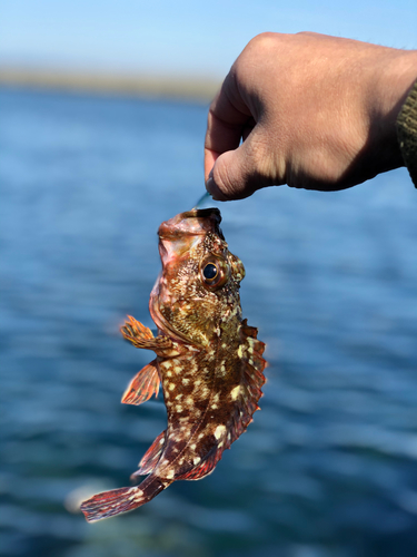 釣果