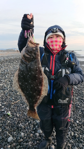 ヒラメの釣果