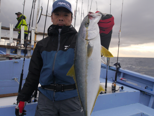 ヒラマサの釣果