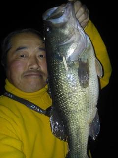 ラージマウスバスの釣果