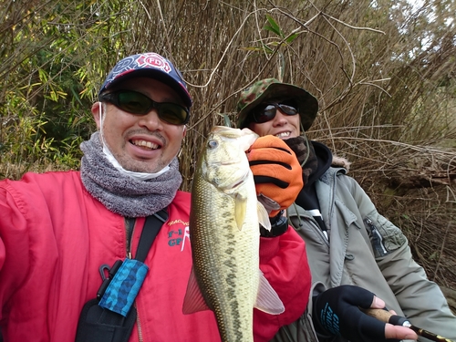 ブラックバスの釣果