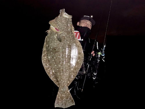 ヒラメの釣果