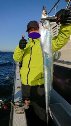 タチウオの釣果