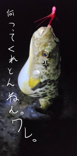 釣果