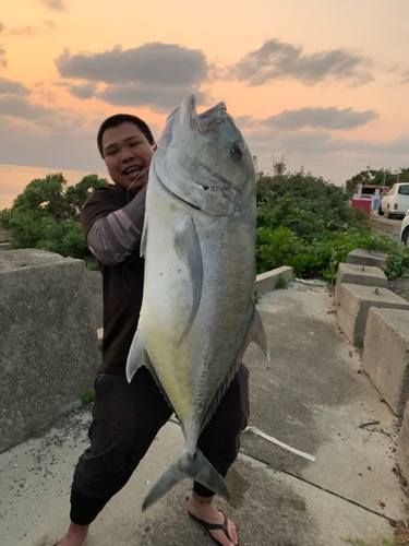 ロウニンアジの釣果