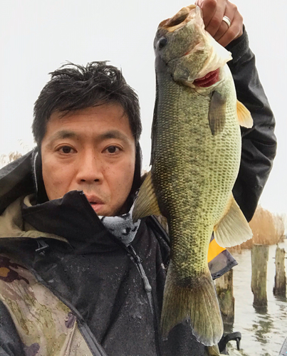 ブラックバスの釣果