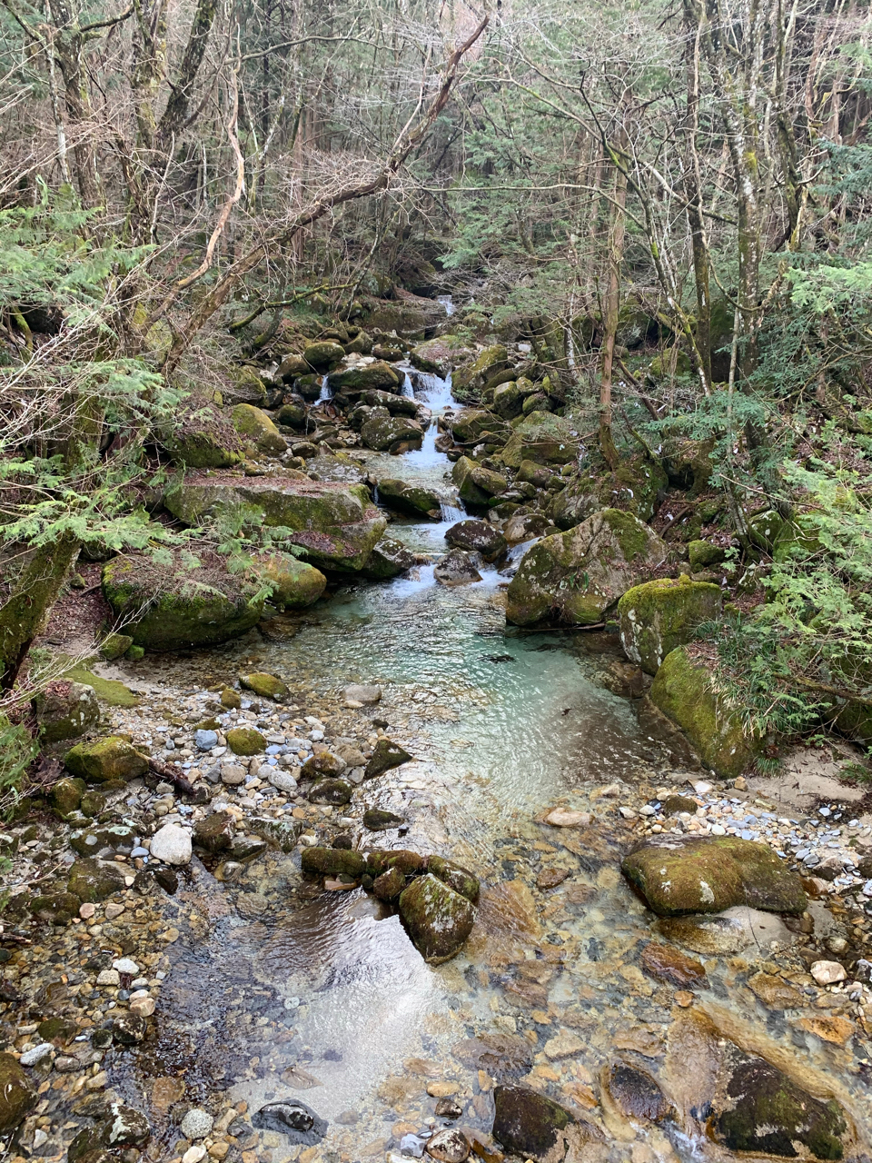 イワナ