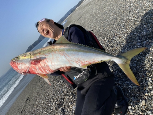 ブリの釣果