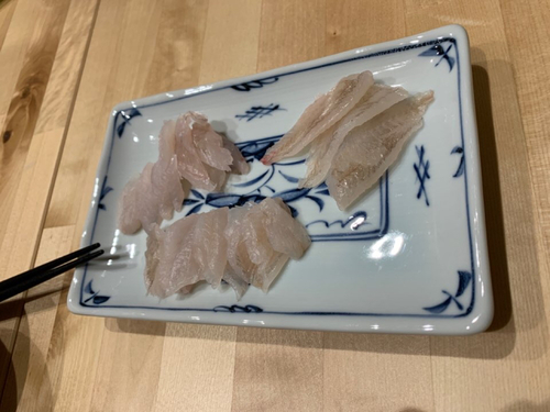 タケノコメバルの釣果