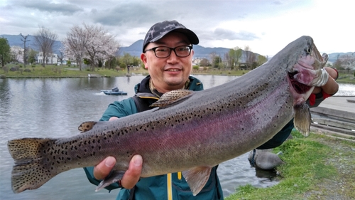 ニジマスの釣果