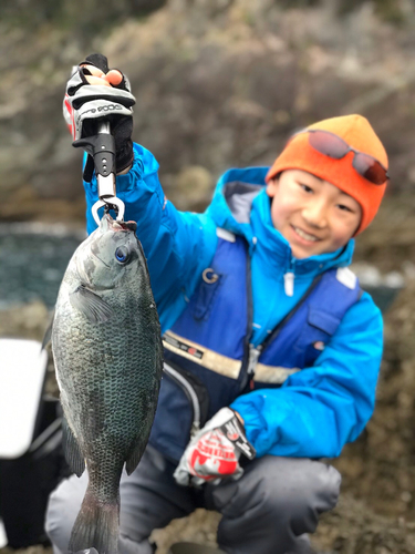 クチブトグレの釣果