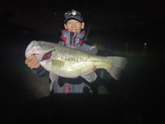 ブラックバスの釣果