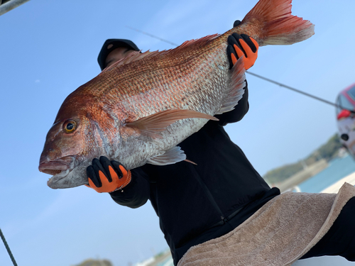 タイの釣果