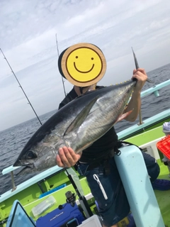 マグロの釣果