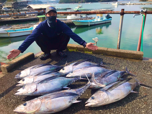 ビンチョウマグロの釣果