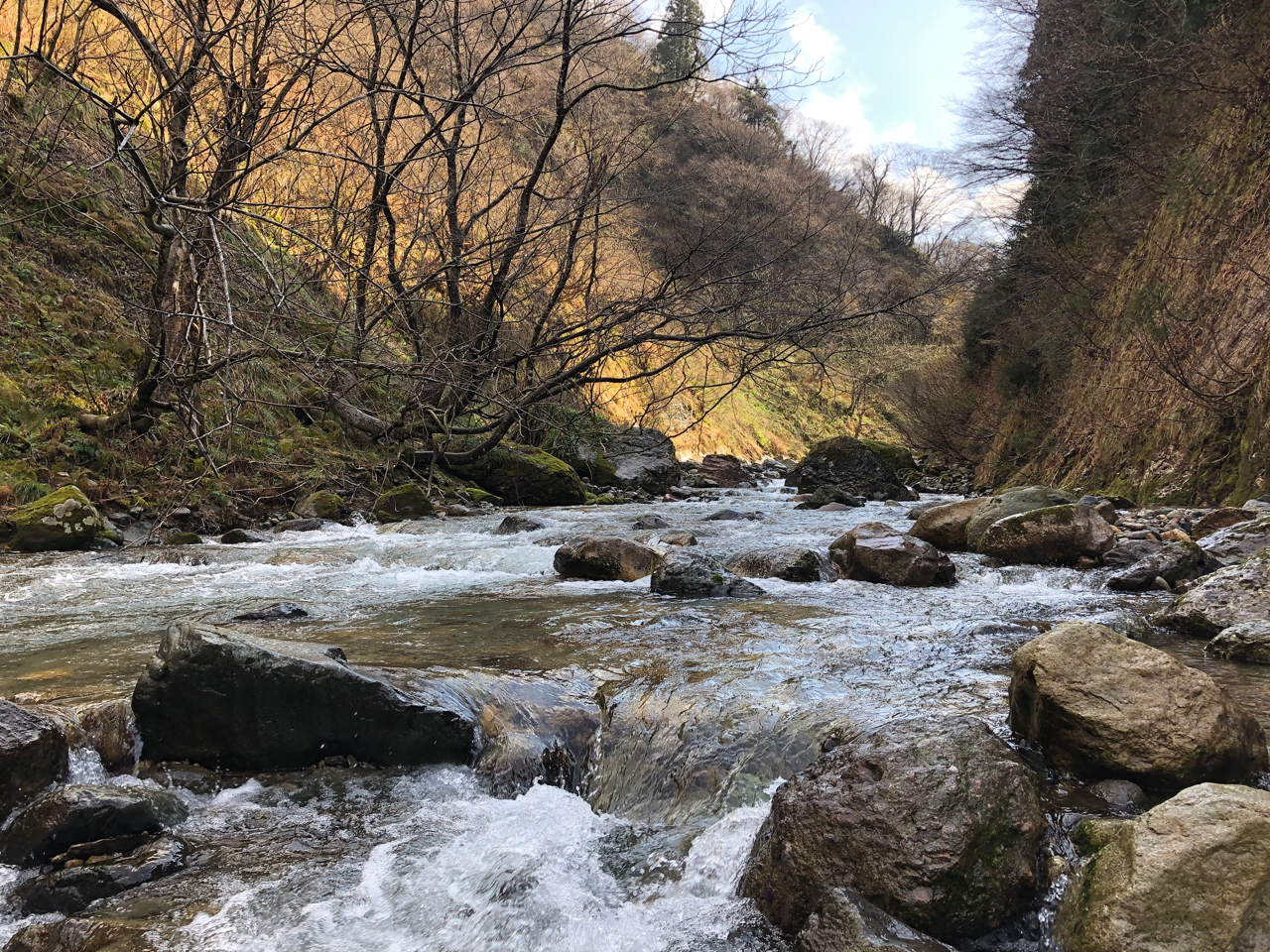 イワナ