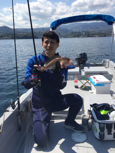 オオモンハタの釣果