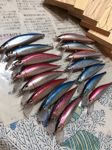 釣果