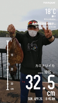 コウイカの釣果