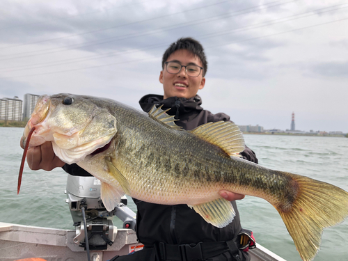 ブラックバスの釣果