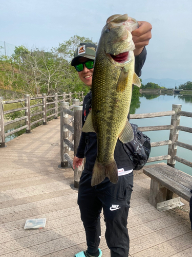 ブラックバスの釣果