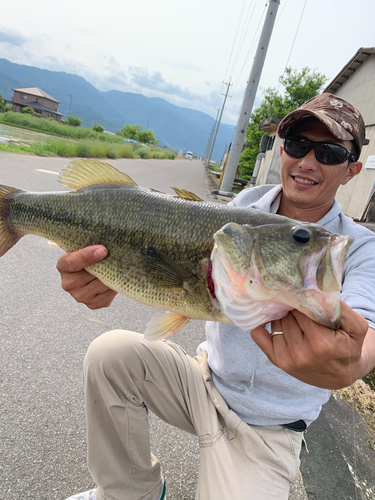 ブラックバスの釣果