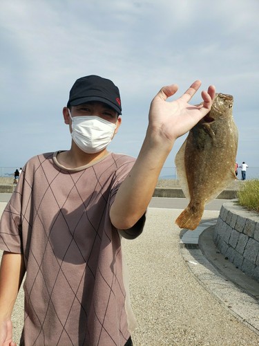 ヒラメの釣果