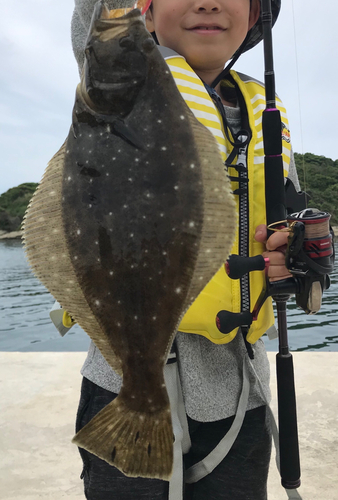 ヒラメの釣果