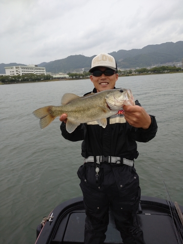 ラージマウスバスの釣果