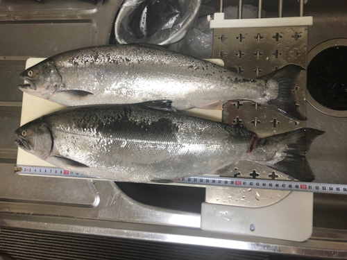 釣果