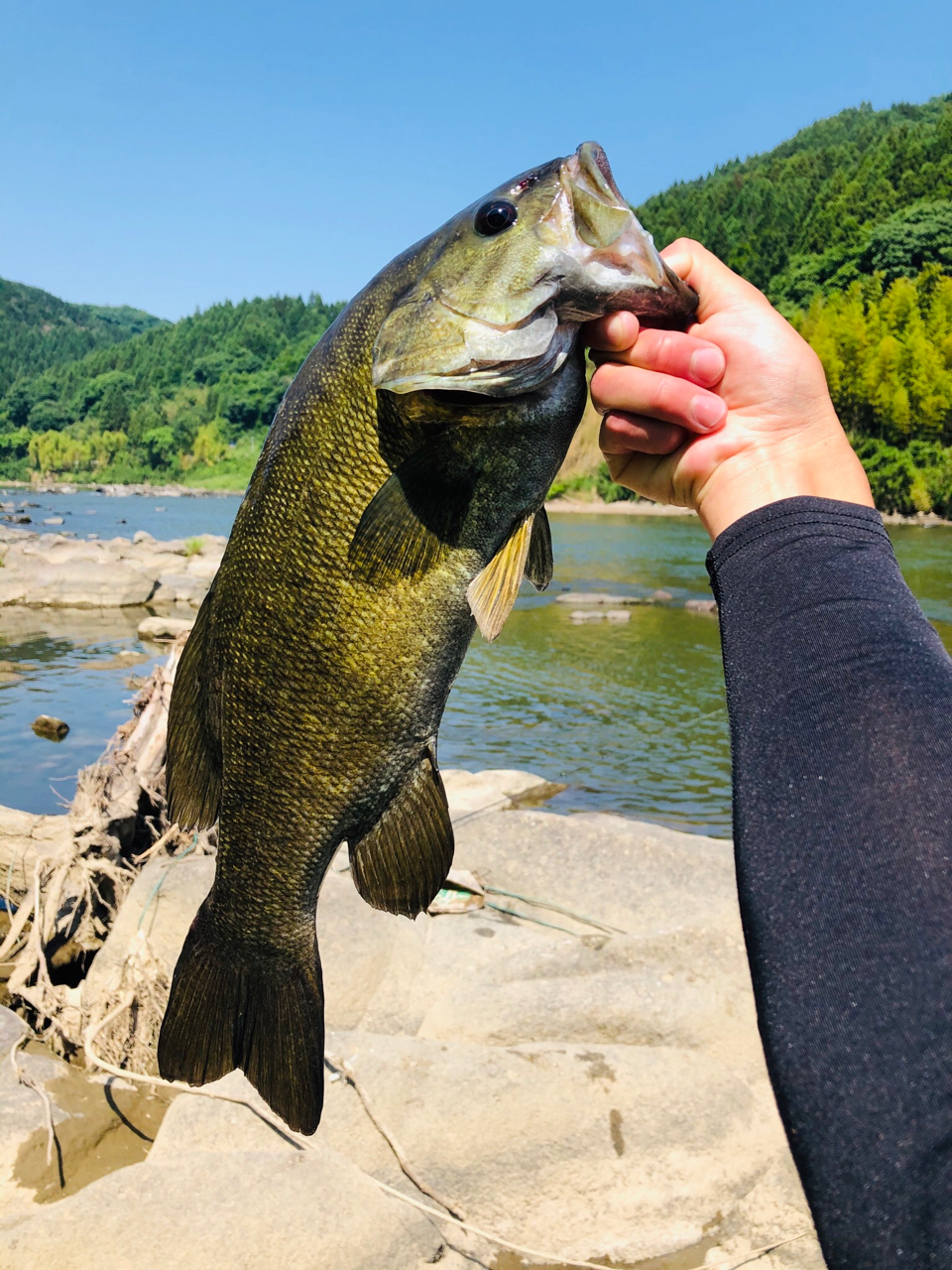 スモールマウスバス