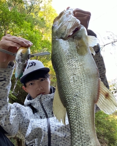 ブラックバスの釣果