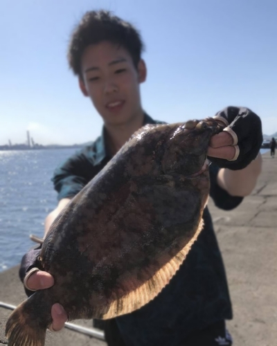 クロガシラガレイの釣果