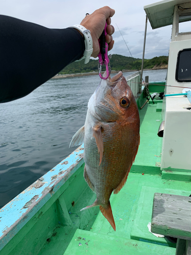 タイの釣果