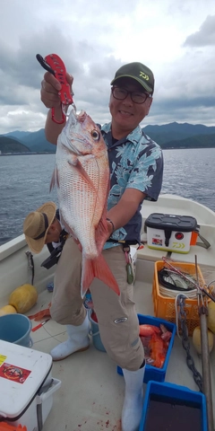 マダイの釣果