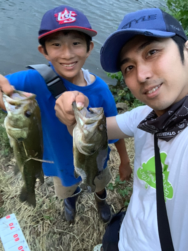 ブラックバスの釣果