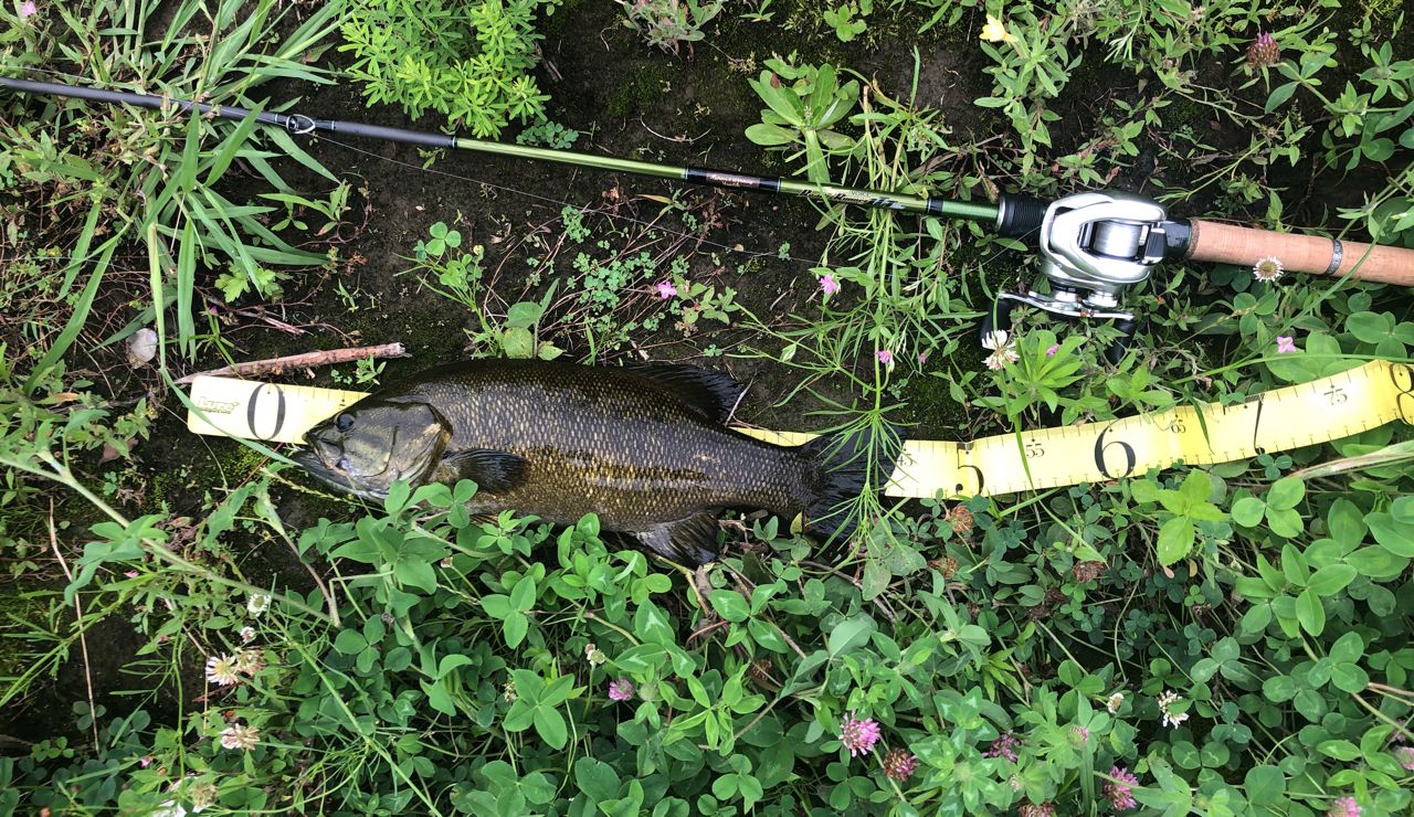 NORIES ロードランナー ヴォイス LTT LTT680MHの最安値・インプレ