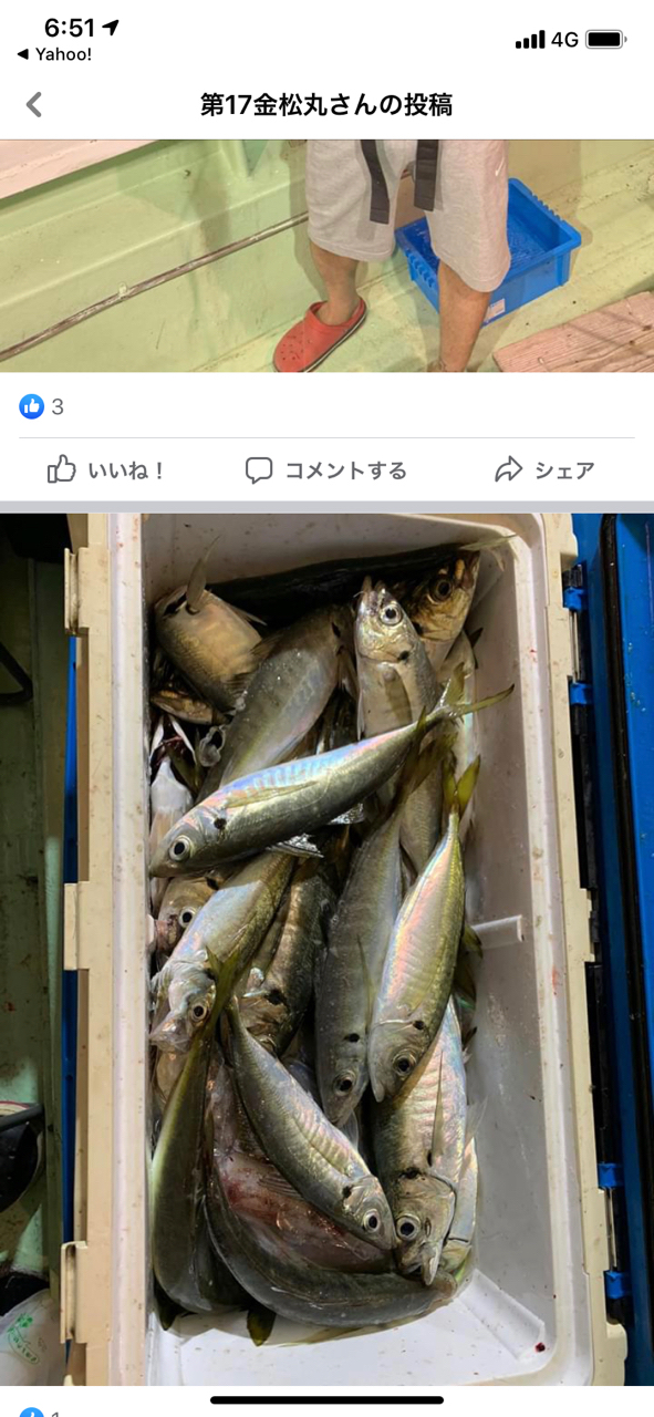 アジ