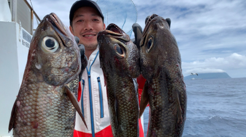 メダイの釣果