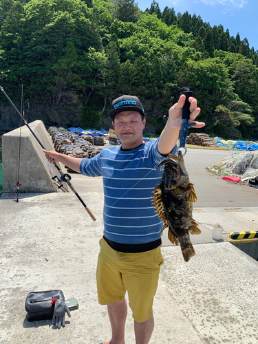 ベッコウゾイの釣果