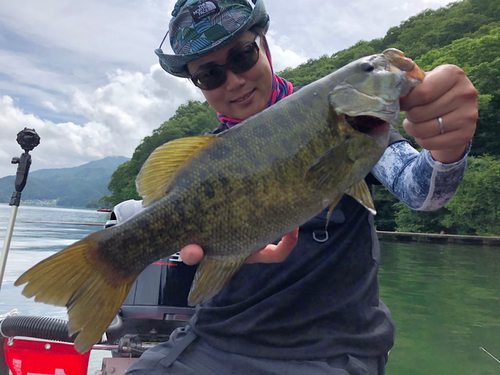 スモールマウスバスの釣果