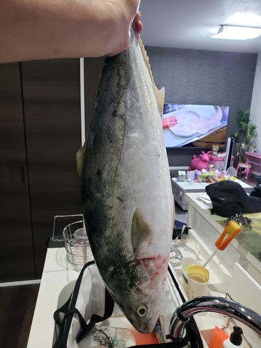 釣果