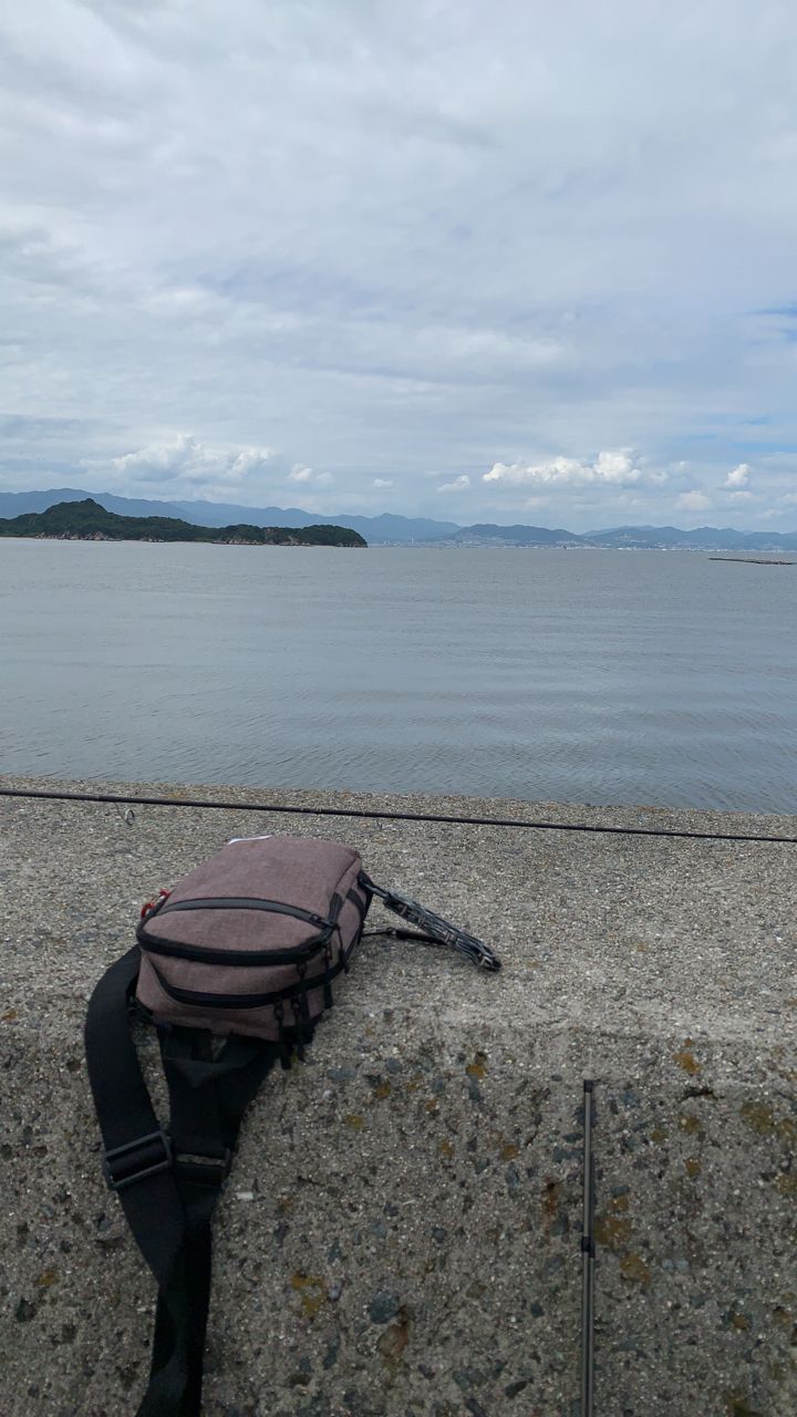 サワラ