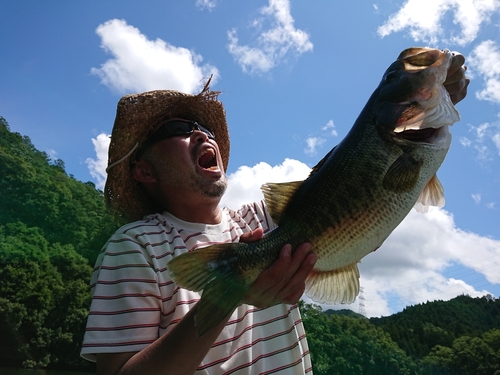 ブラックバスの釣果