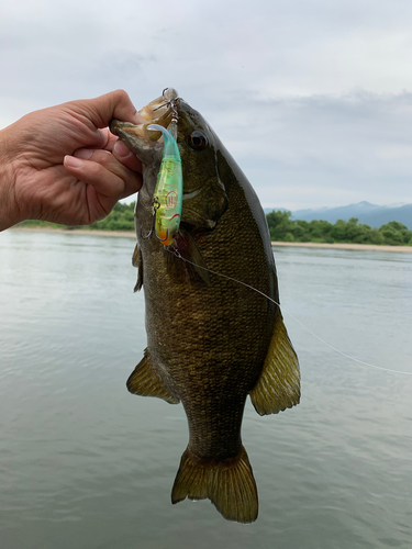 釣果