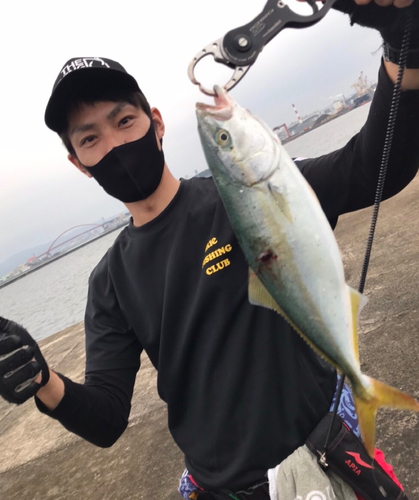 ツバスの釣果