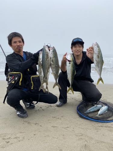 イナダの釣果